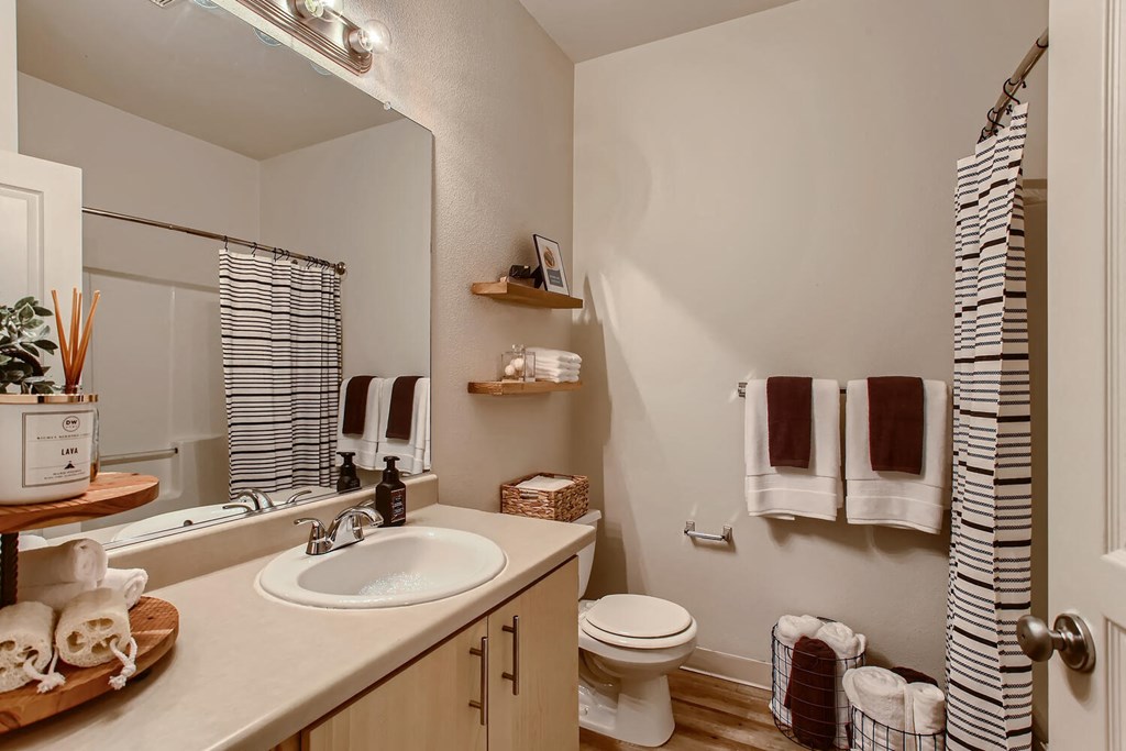 a bathroom with a sink and a toilet and a mirror