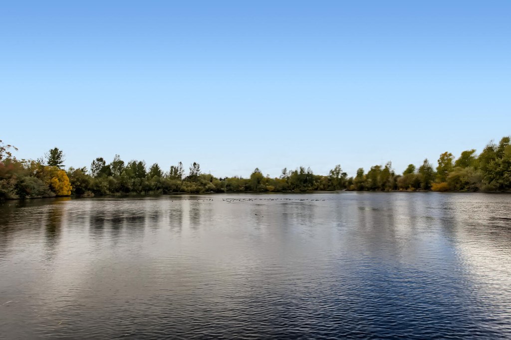 a view of a river with trees on the other side of it