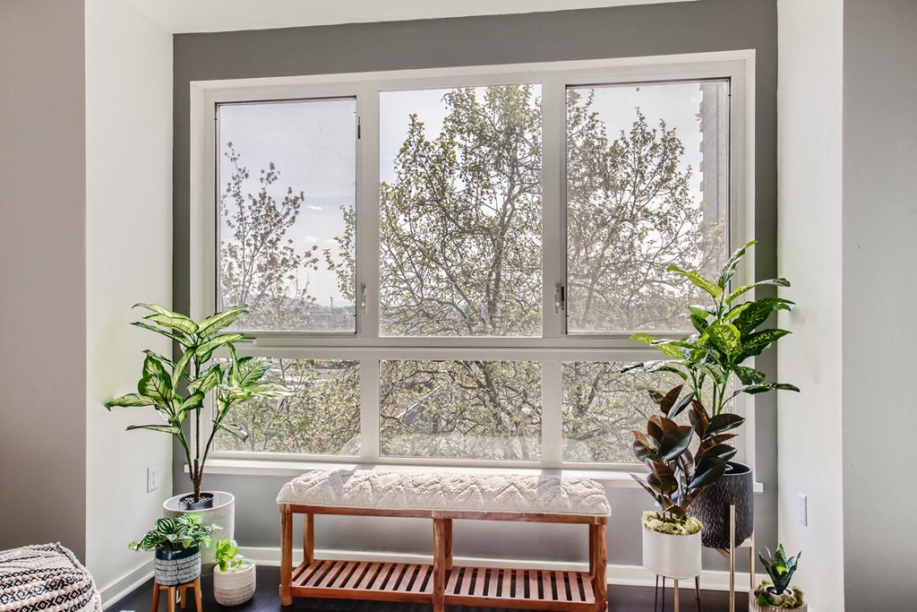 a window in a living room with a bench and plants