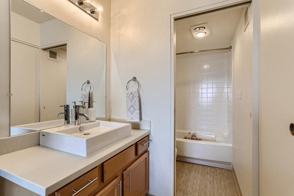a bathroom with a sink and a mirror and a shower