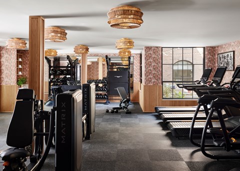 A gym with a variety of equipment including treadmills, stationary bikes, and weight machines.