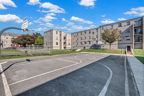 Basketball court