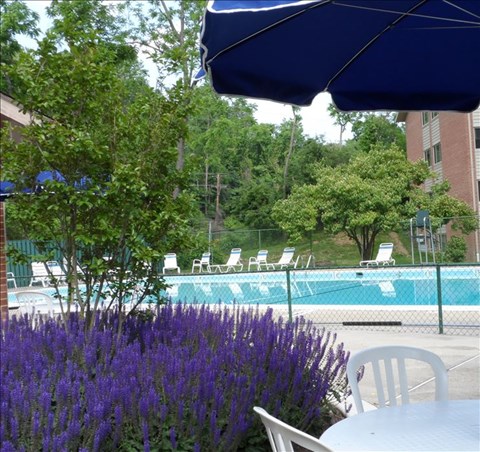 A pool surrounded by trees and chairs under a blue umbrella.