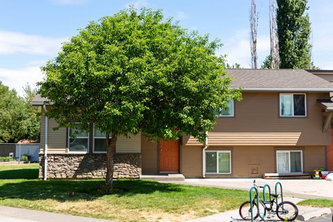 a house with a tree and two bikes parked in front of it