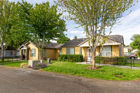a group of houses in a neighborhood with a street and trees