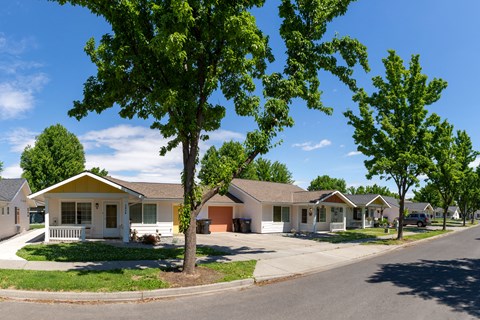 a row of houses in a neighborhood with trees