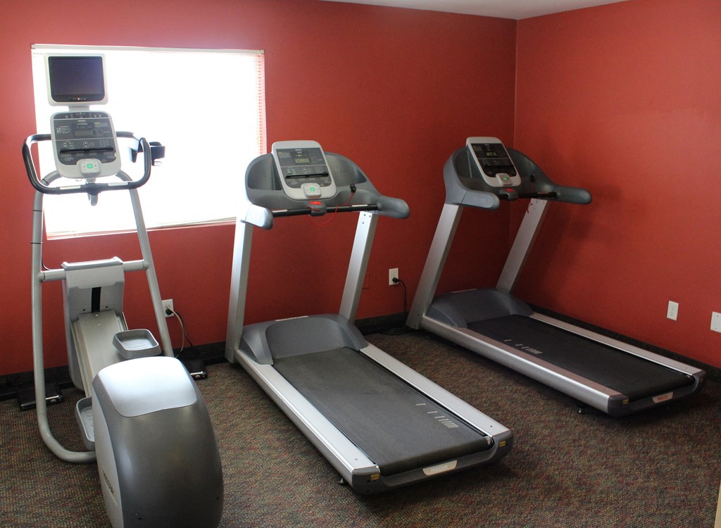 the treadmill and elliptical machines in the gym
