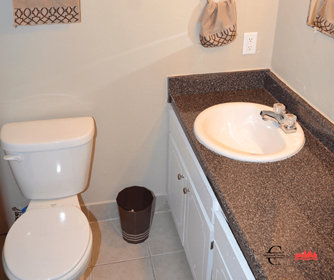 a bathroom with a sink and a toilet