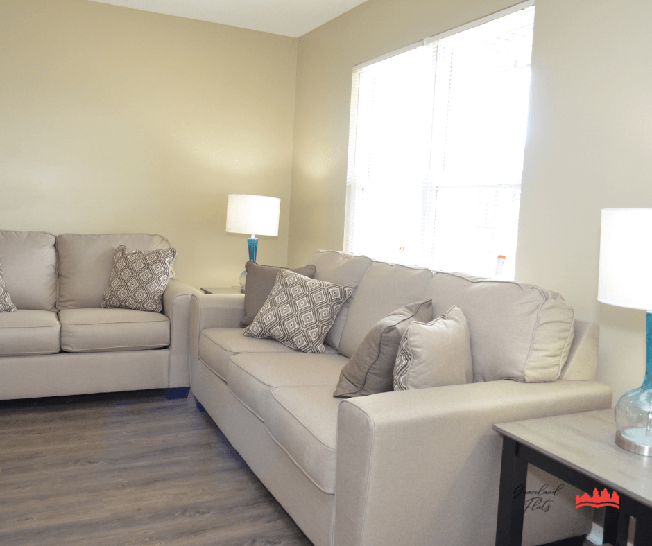 a living room with two couches and a coffee table