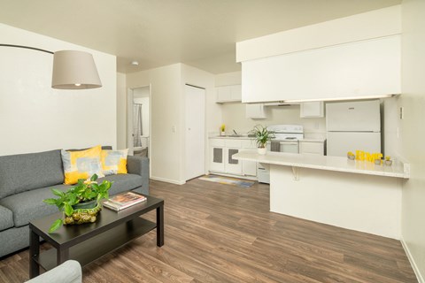 A living room with a grey couch and a coffee table with a plant on it.