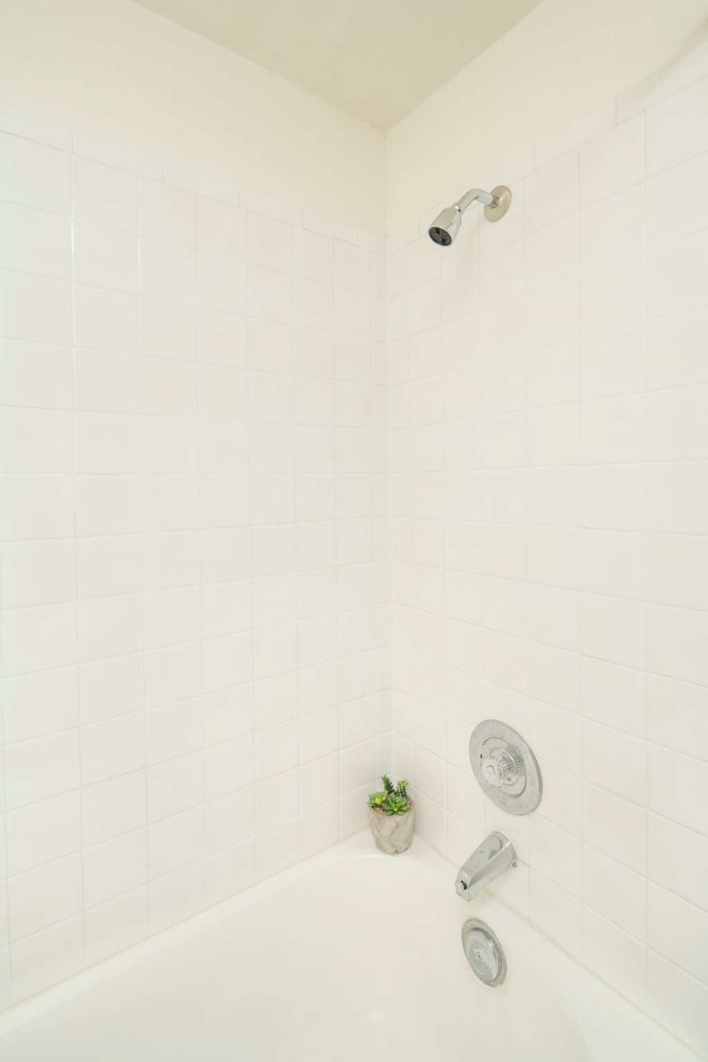 A white tiled shower with a plant and two shower heads.