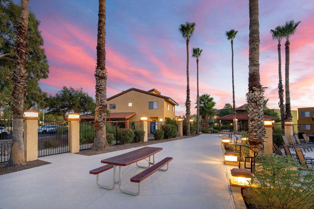 A sunset view of a palm tree lined walkway.