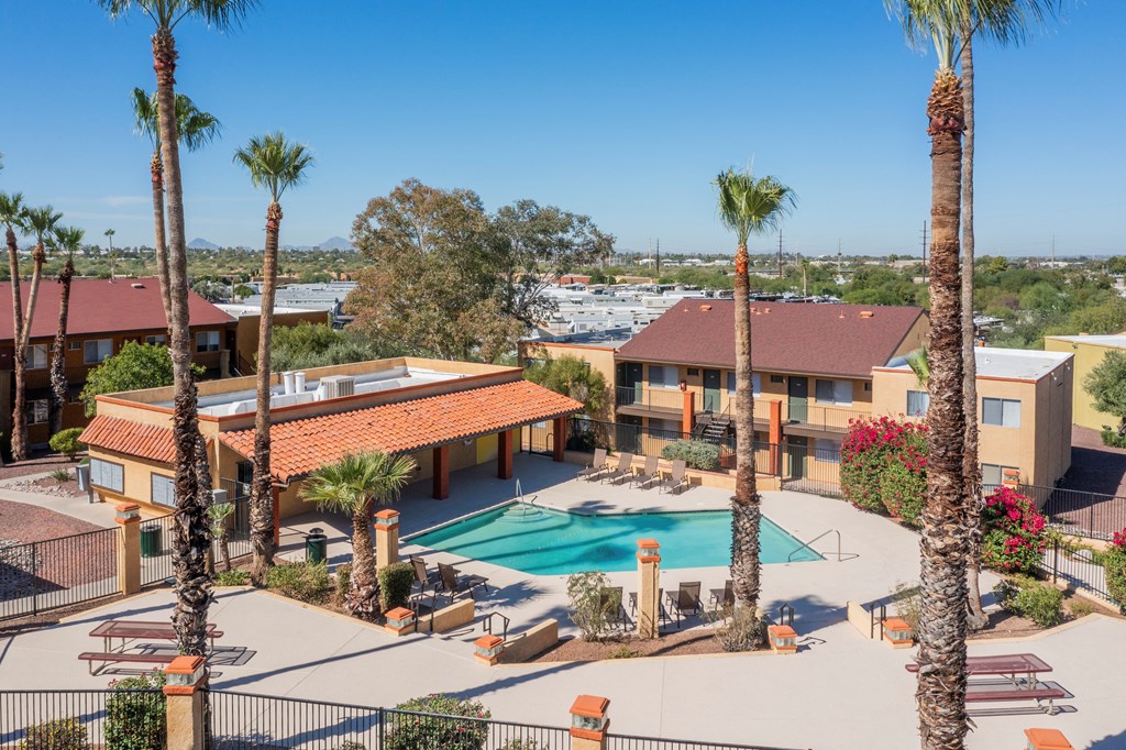 A pool surrounded by palm trees and benches.