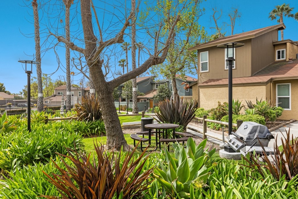 A tree in a yard with a picnic table and a grill.