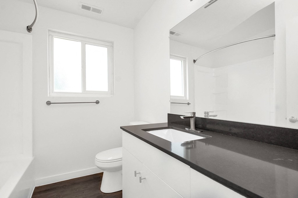a bathroom with a sink and a toilet and a mirror