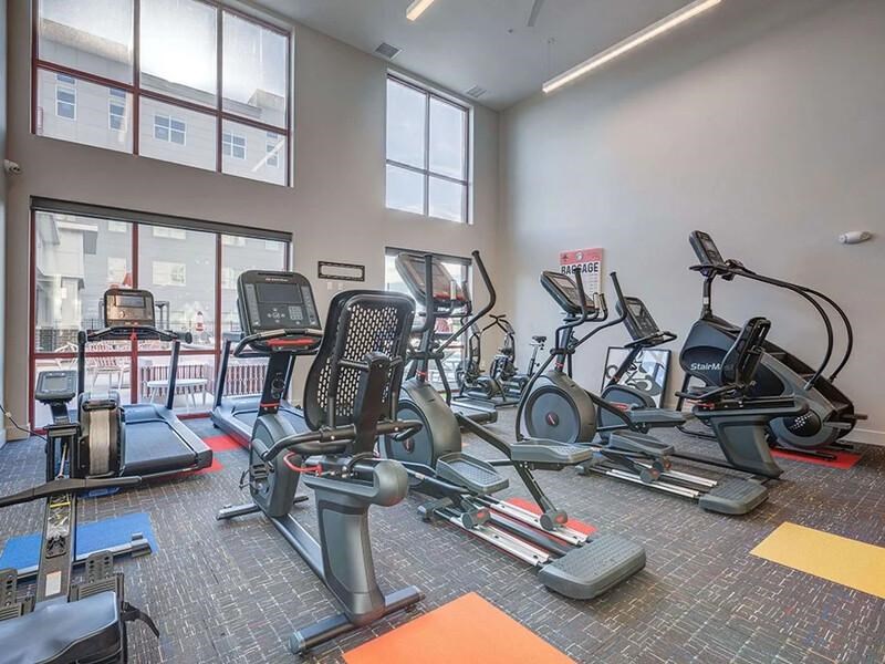 A gym with treadmills, elliptical machines, and other exercise equipment.