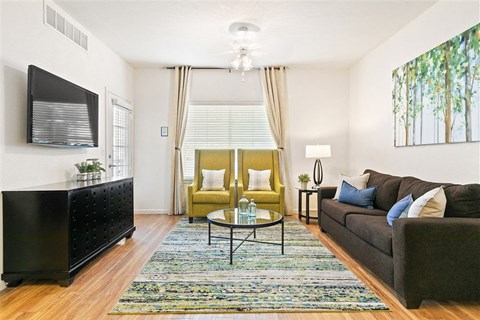 a living room with a couch and a television