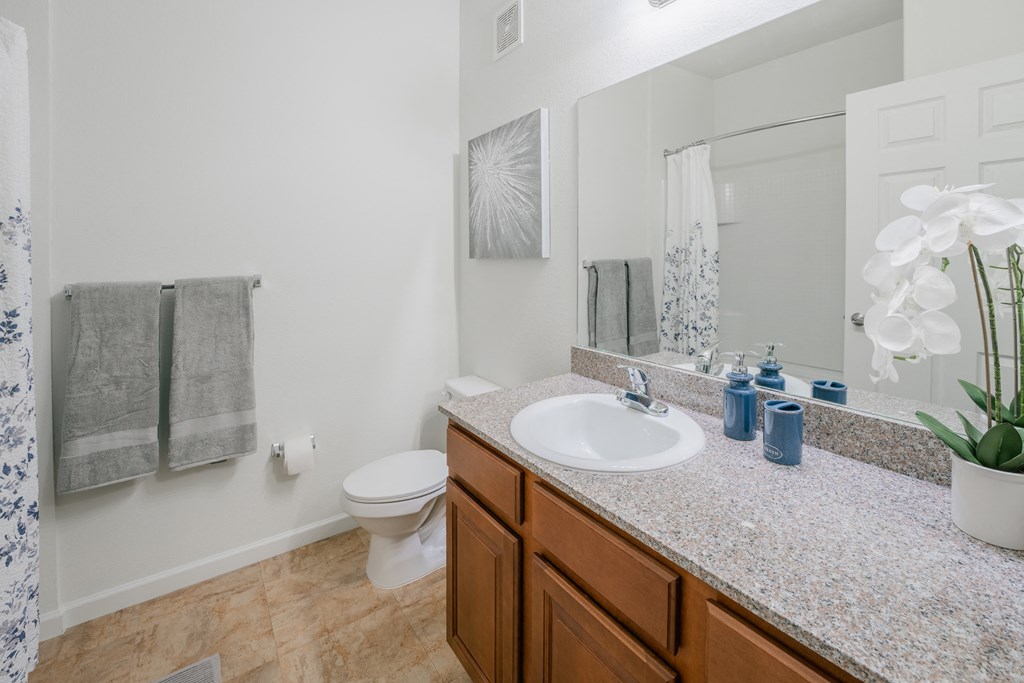 a bathroom with a sink and a toilet and a mirror at Aldara Apartments in Saratoga Springs, Utah