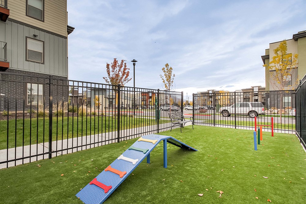 the enclave at homecoming terra vista dog park