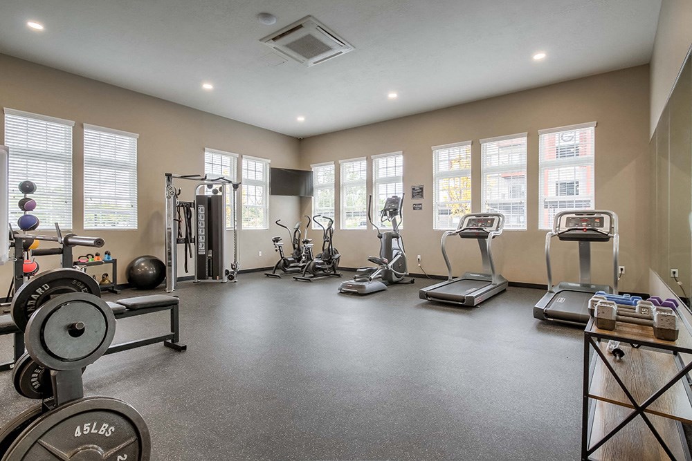 our apartments have a gym with plenty of equipment