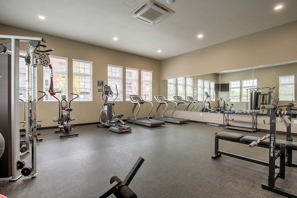 our apartments showcase a large fitness center with plenty of exercise equipment
