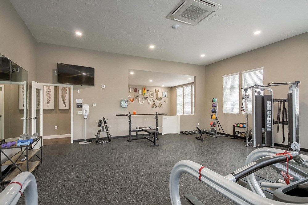 our apartments have a gym with equipment and a flat screen tv