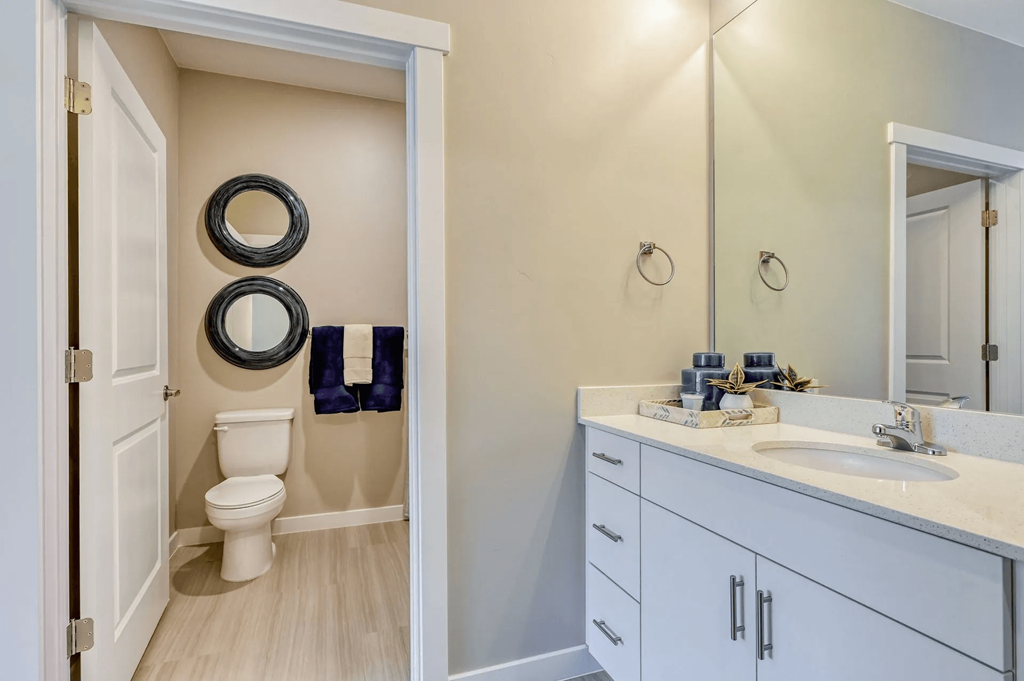 a bathroom with a toilet and a sink and a mirror