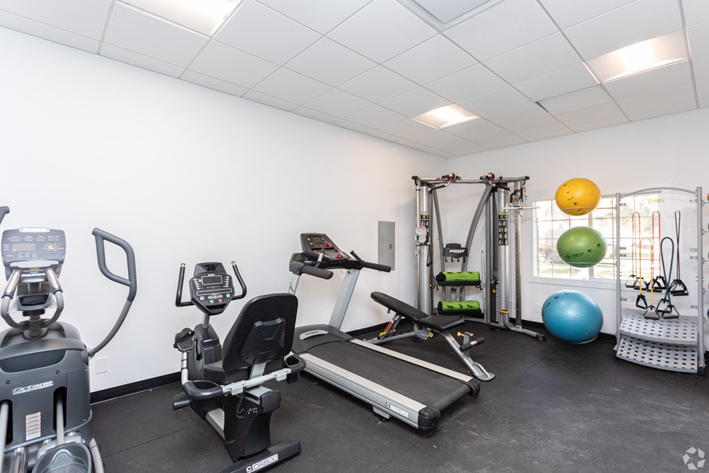 A well-equipped gym with a treadmill, exercise ball, and other fitness equipment.