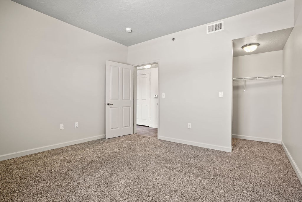 A room with a carpeted floor and a closet with a door.