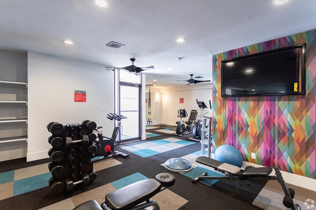 A gym with a row of dumbbells and exercise equipment.
