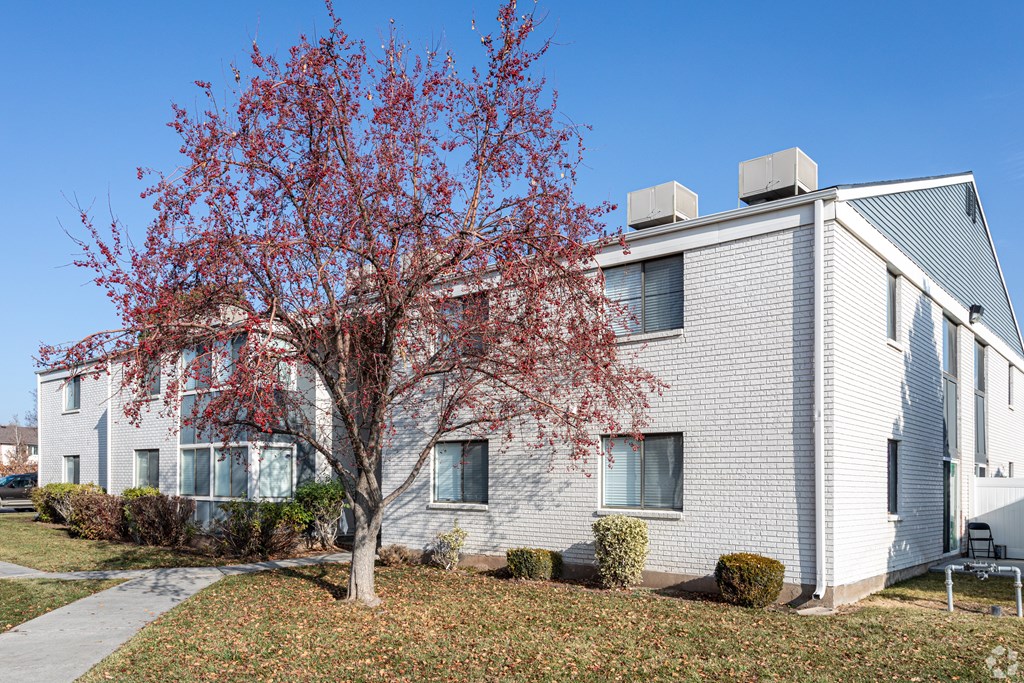 A tree with red leaves is in front of a grey house.