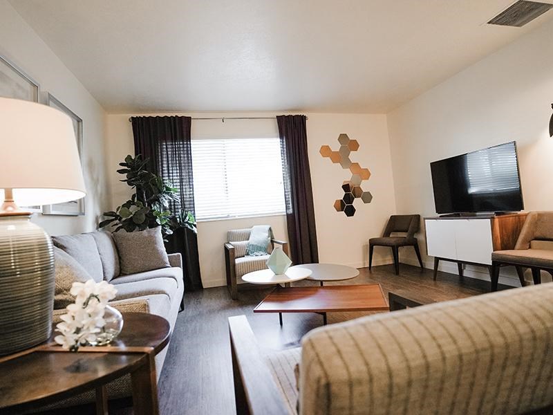 A living room with a grey couch, a wooden coffee table, and a television.