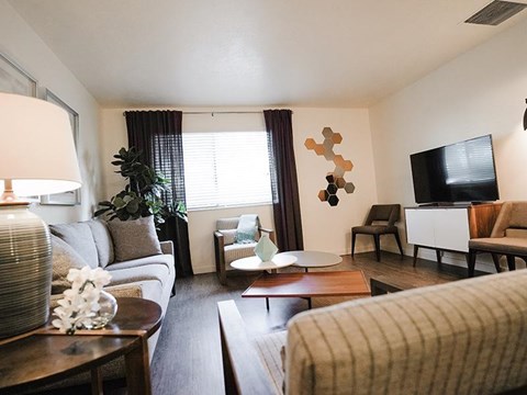 A living room with a grey couch, a wooden coffee table, and a television.