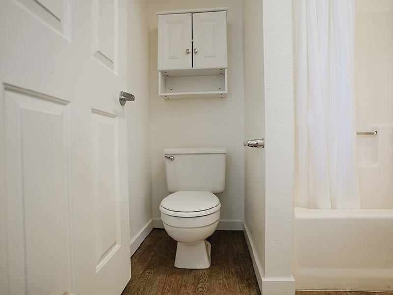 A white toilet in a small bathroom with a cabinet above it.