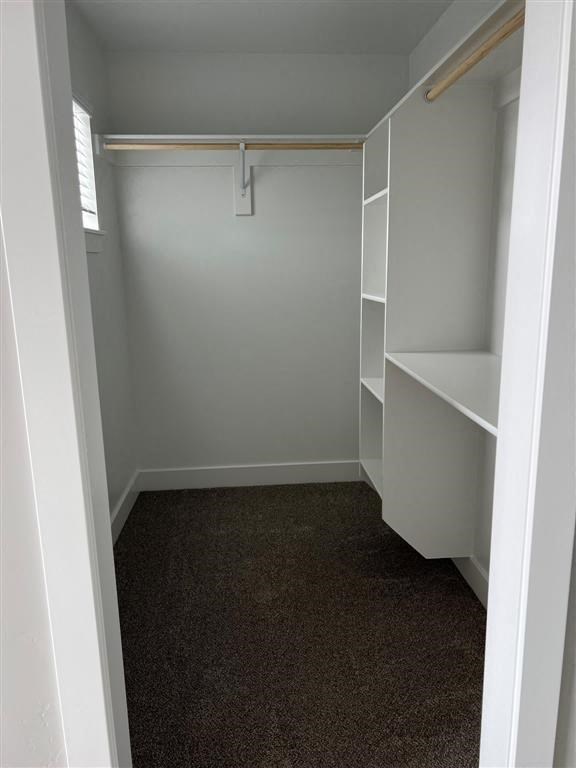 a walk in closet with white shelves and a carpet