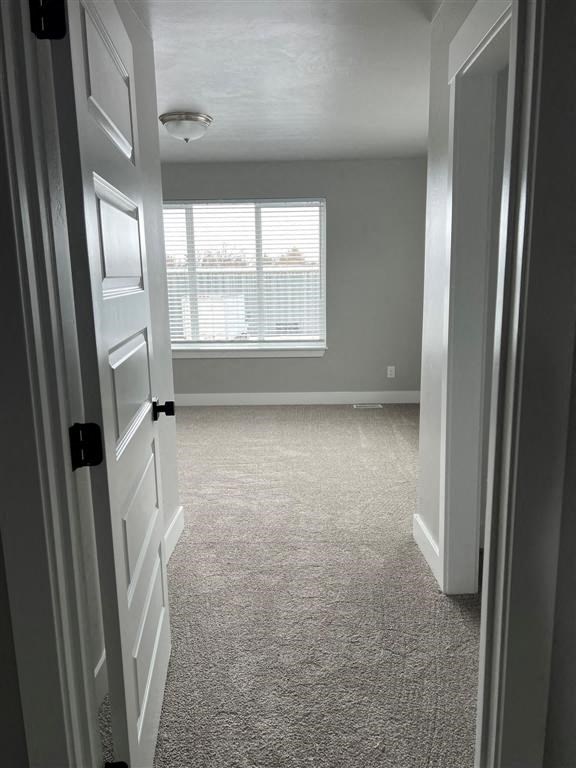 a room with a white carpet and a white door