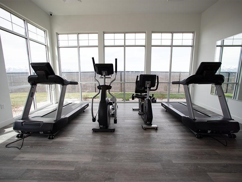 A row of treadmills and exercise bikes are lined up in a brightly lit room.