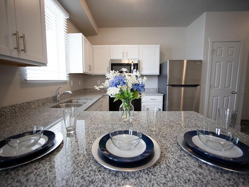 A kitchen with a granite countertop and a vase of flowers on it.