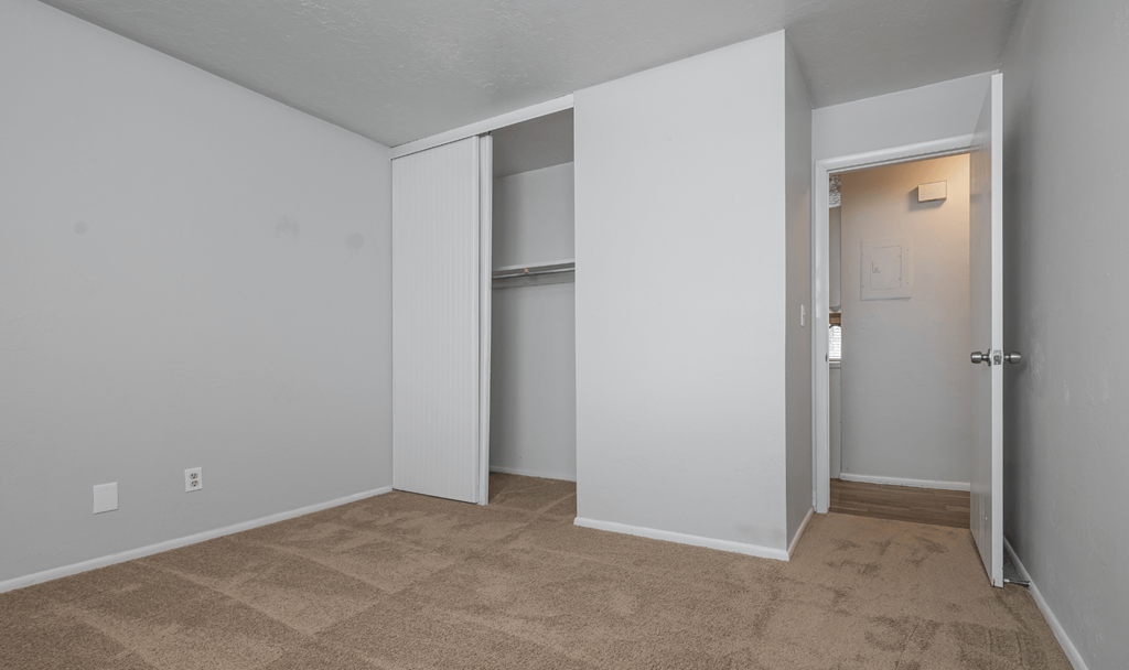 A room with a carpeted floor and white walls, with a closet and a door visible.