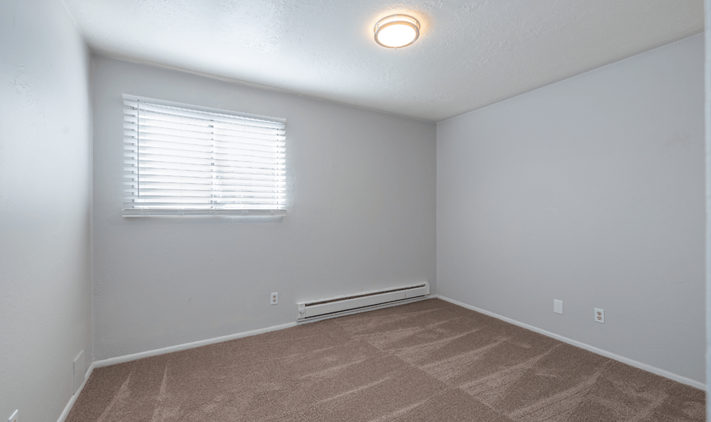 A room with a window and a carpeted floor.