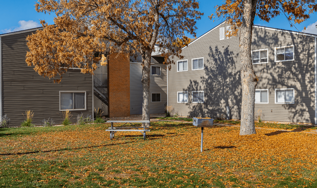 A tree with orange leaves stands in front of a grey building.