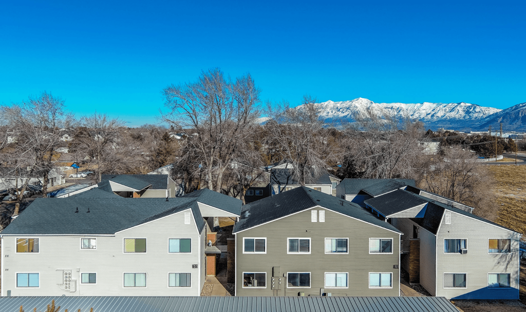 A row of houses with a mountain in the background.