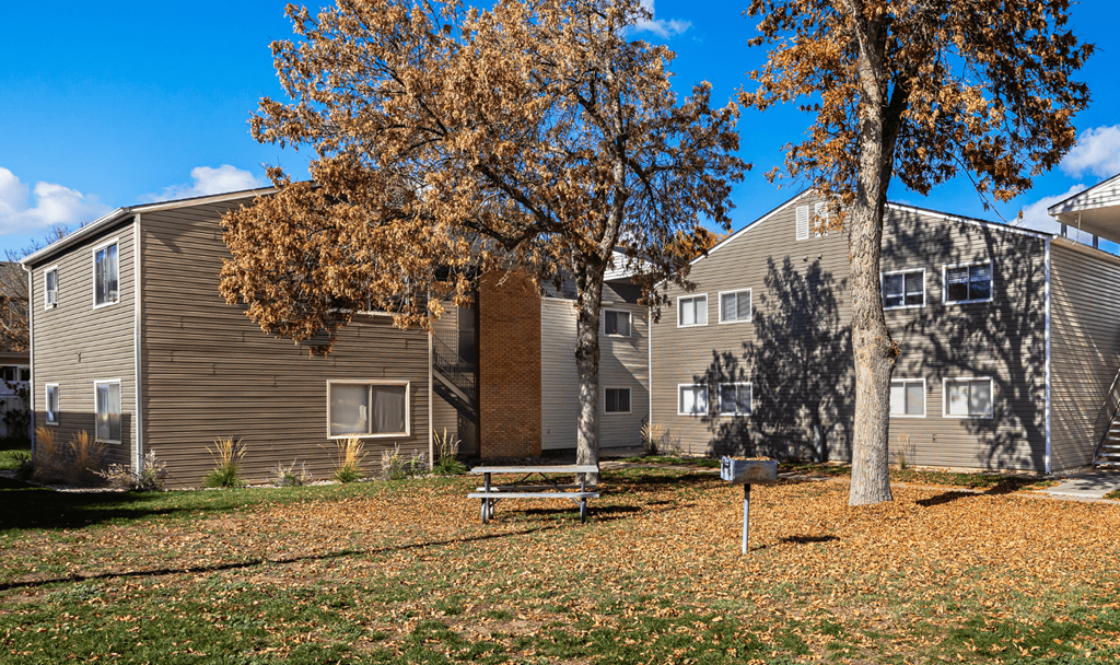A tree with orange leaves stands in front of a grey building.