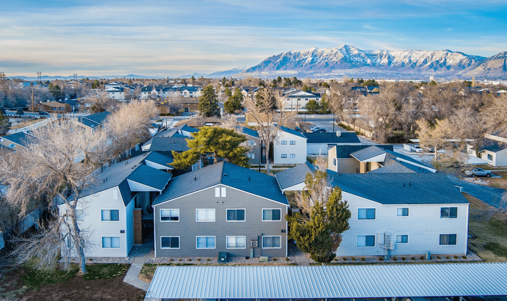 A bird's eye view of a residential area with houses and snow-capped mountains in the distance.