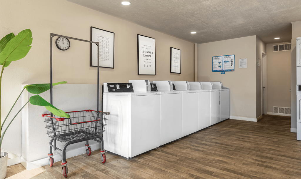 A white reception desk with a shopping cart in front of it and a green plant to the left.