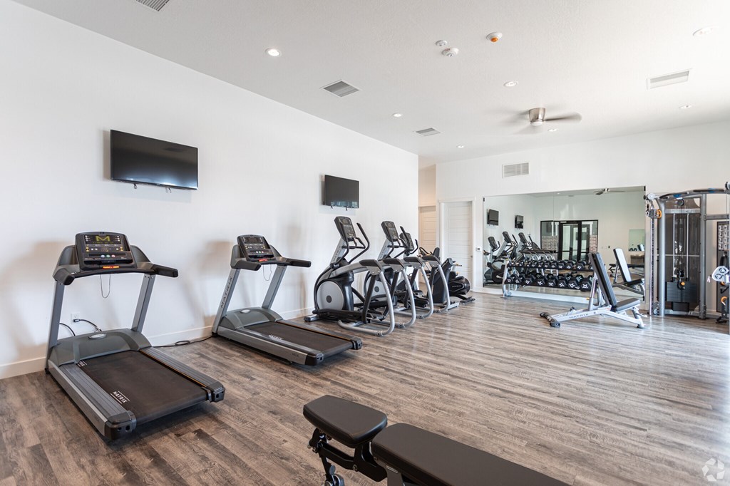 A gym with treadmills, exercise bikes, and other equipment.