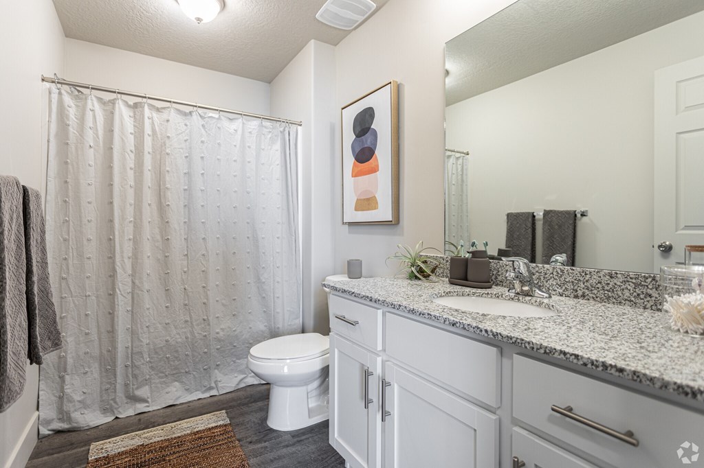A bathroom with a toilet, sink, and shower curtain.