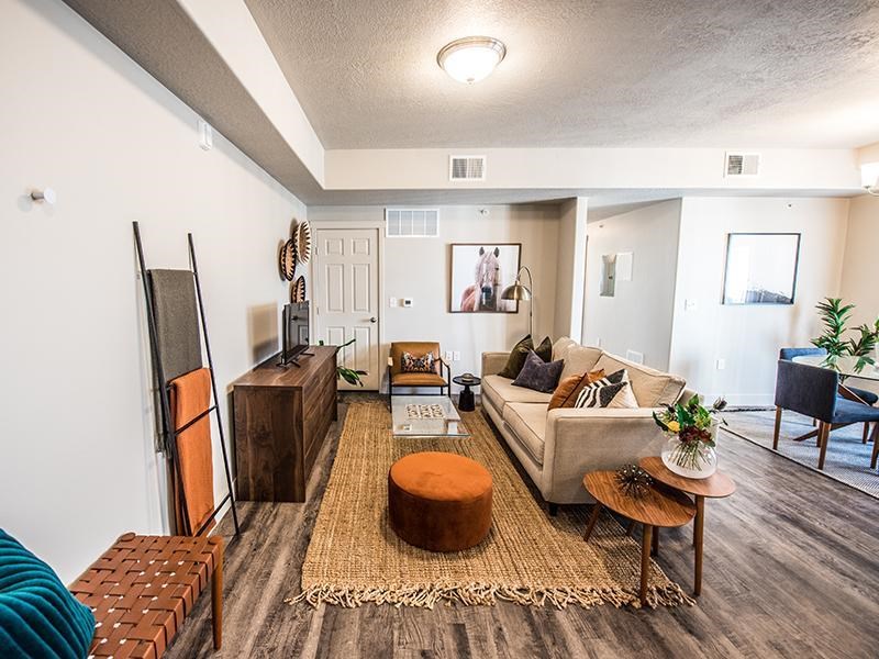A living room with a brown rug and a white couch.