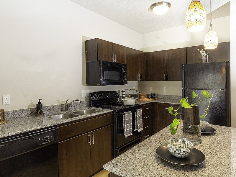 kitchen with dark cupboards from The Lotus Apartments in Downtown Salt Lake City, Utah