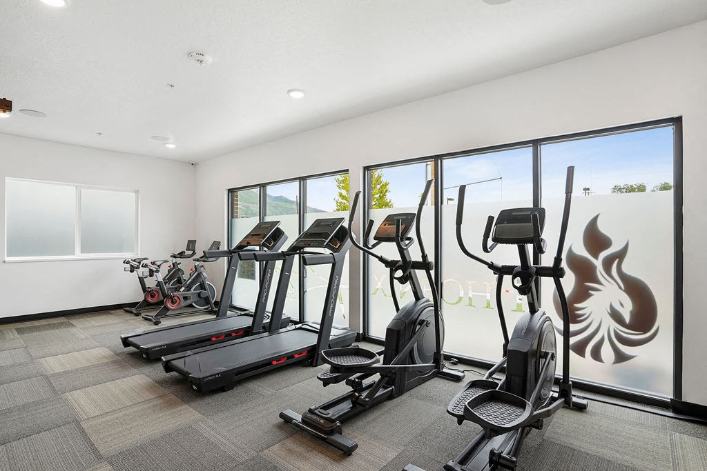 the gym has a slew of cardio equipment and large windows